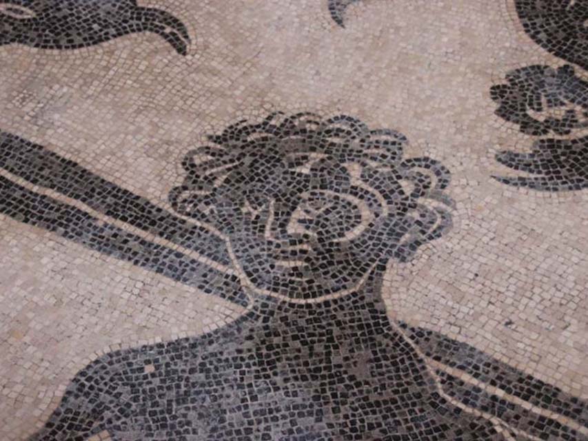 Herculaneum Insula VI